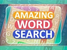 Amazing Word Search